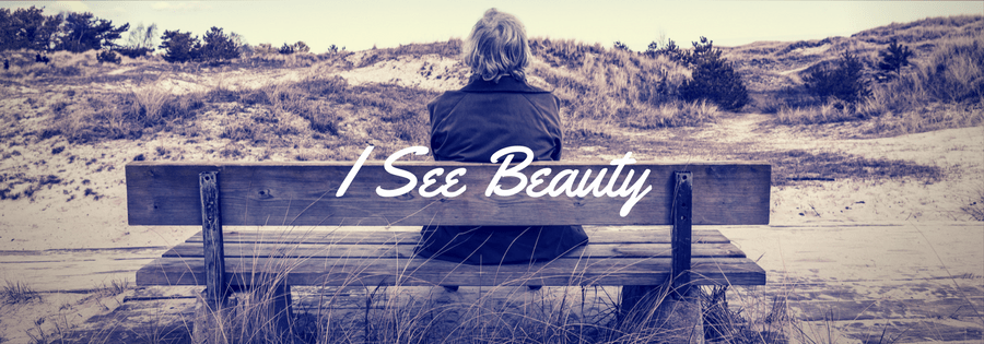 I See Beauty by Helen Sherwin